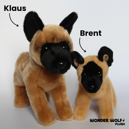 Brent Belgian Malinois