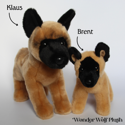 Brent Belgian Malinois