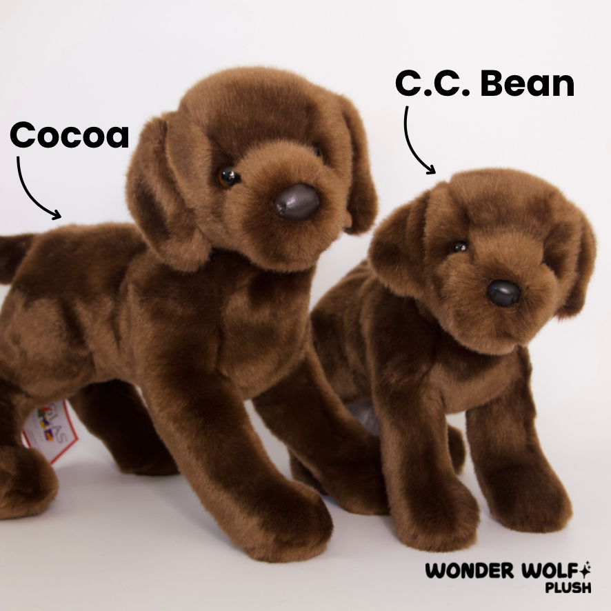 C.C. Bean Chocolate Lab