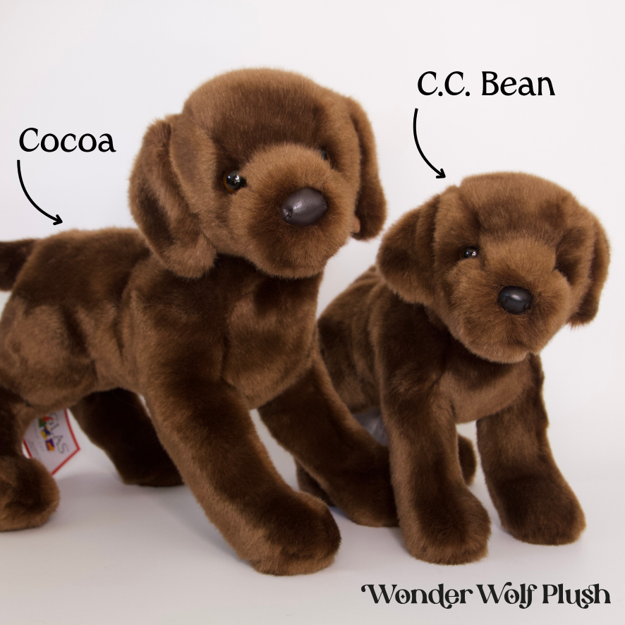Cocoa Chocolate Labrador