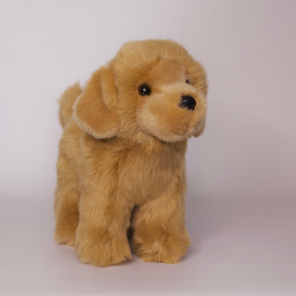 Chap Golden Retriever