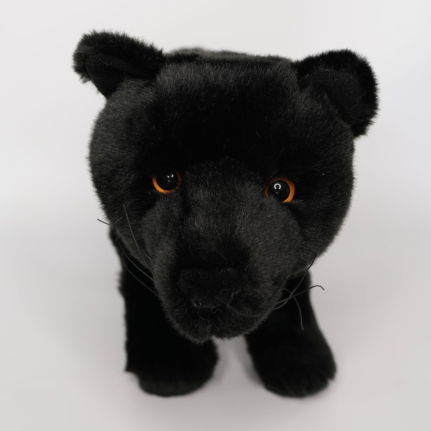 Jagger Black Panther