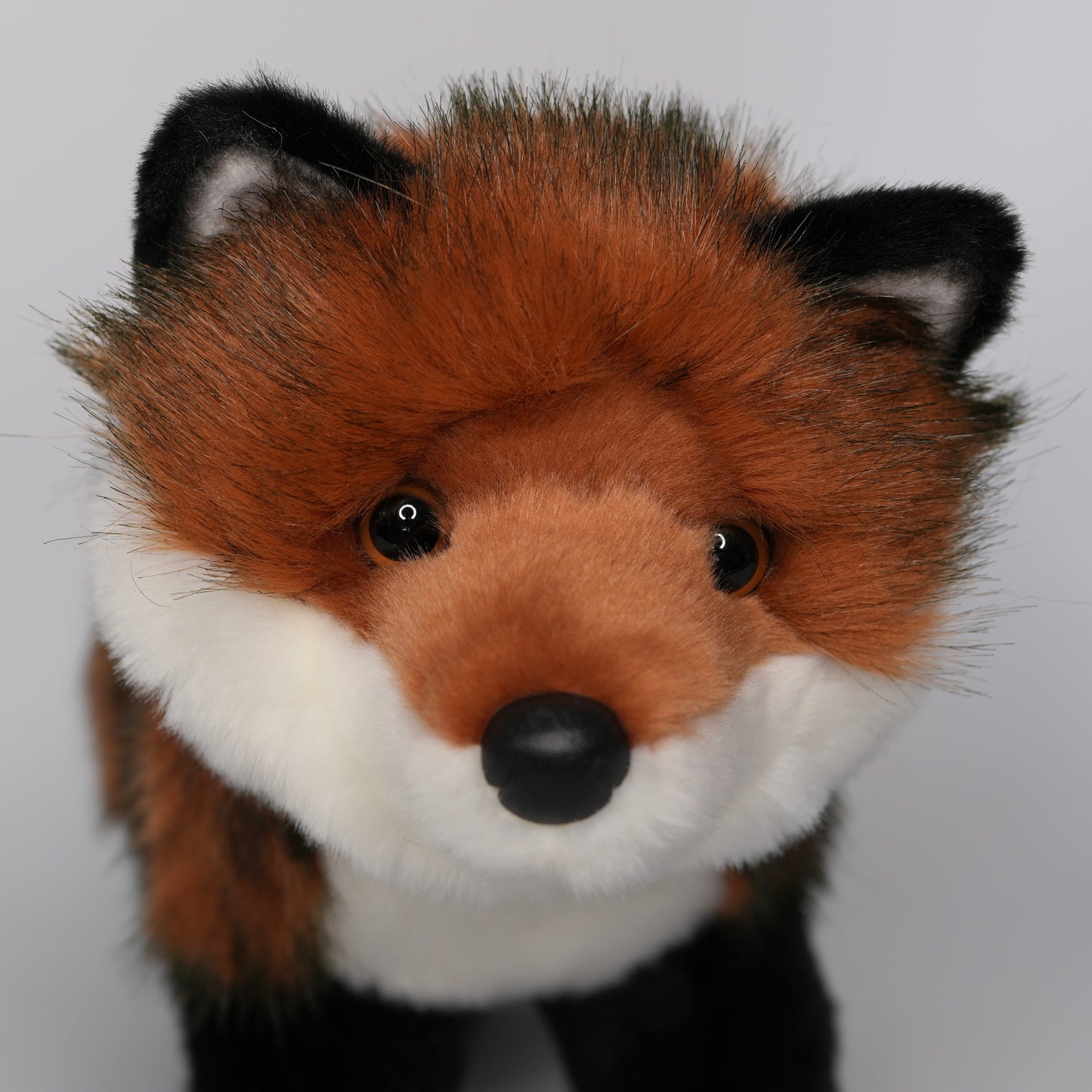 Scarlett DLux Red Fox