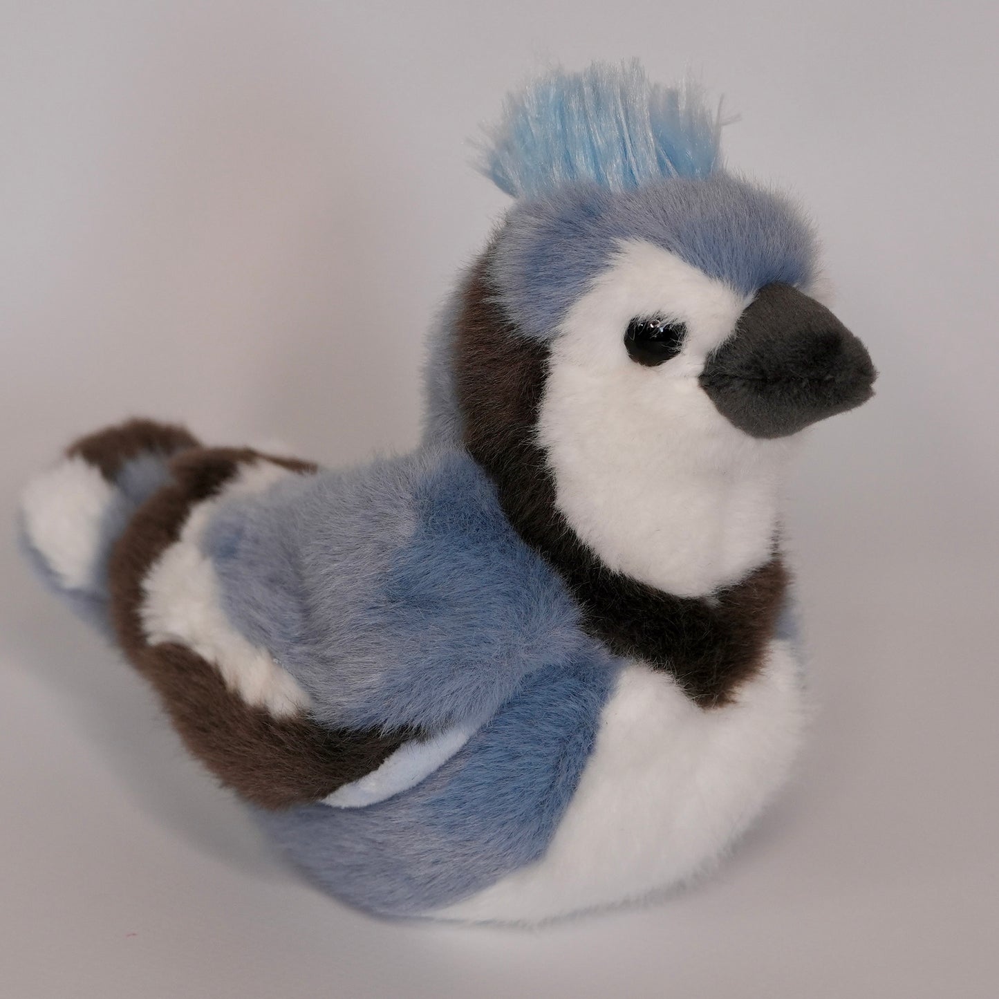 Denim Blue Jay