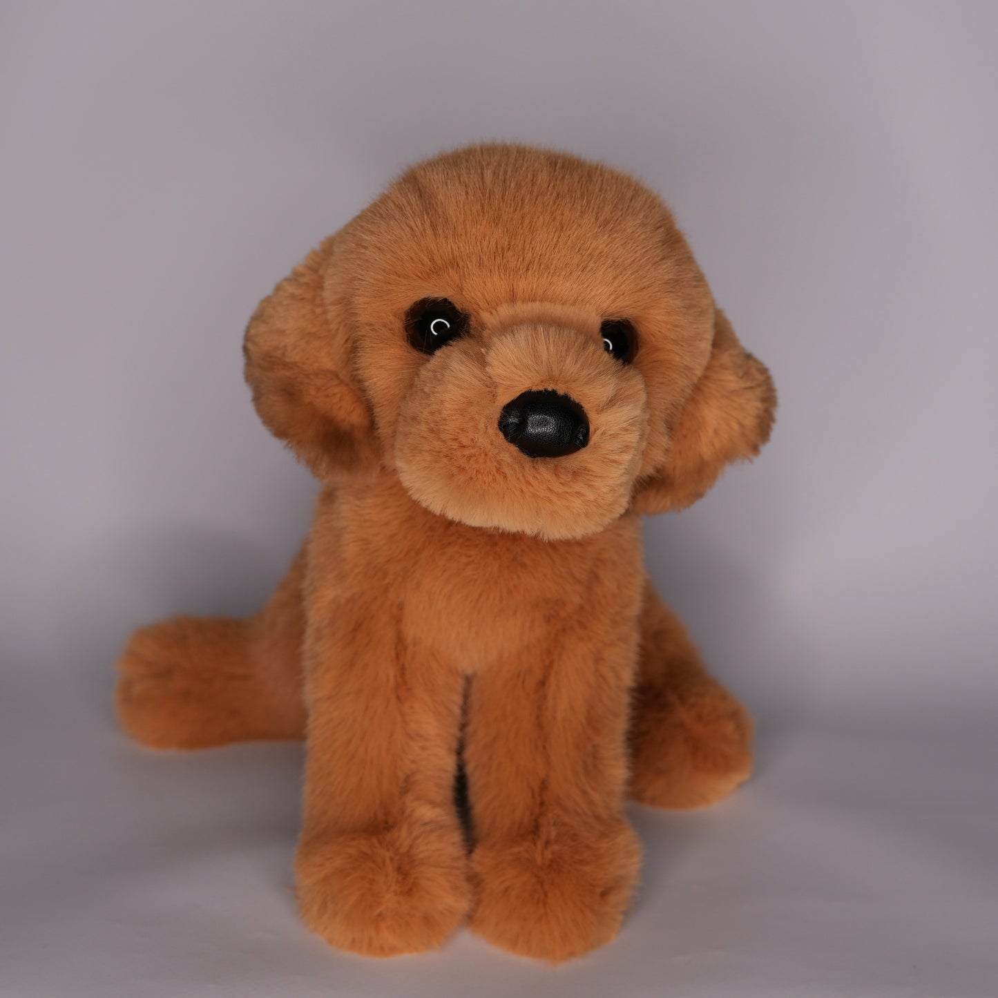August Golden Retriever