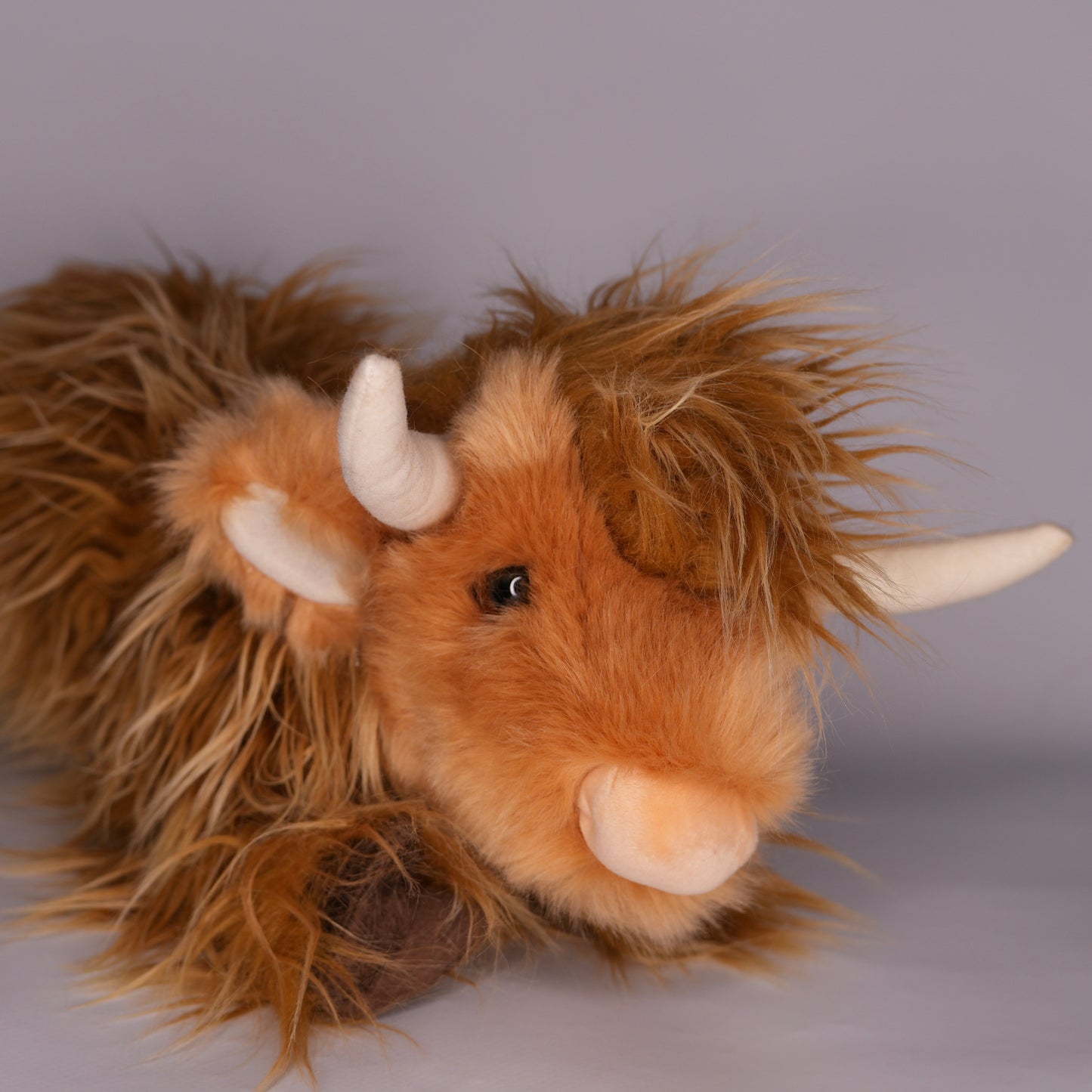 Wallace DLux Highland Cow
