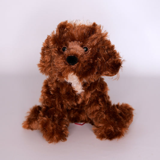 Bosco Chocolate Labradoodle