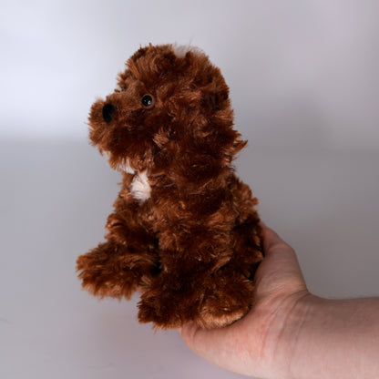 Bosco Chocolate Labradoodle
