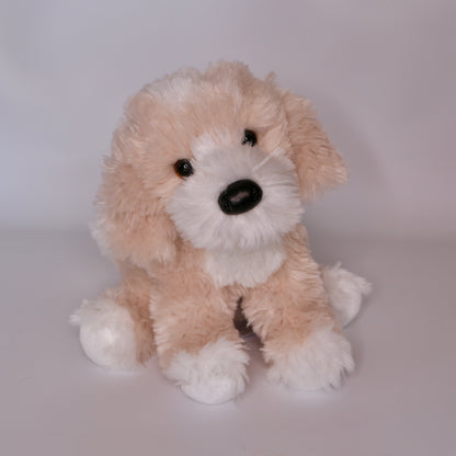 Darcy Goldendoodle