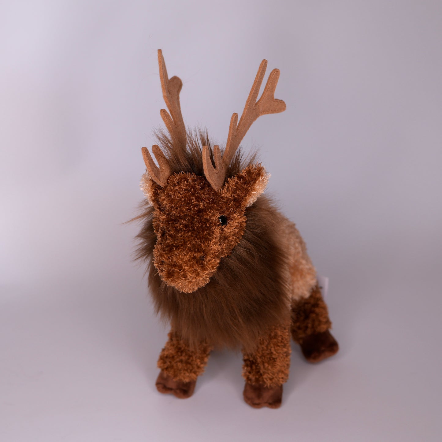Eddie Elk