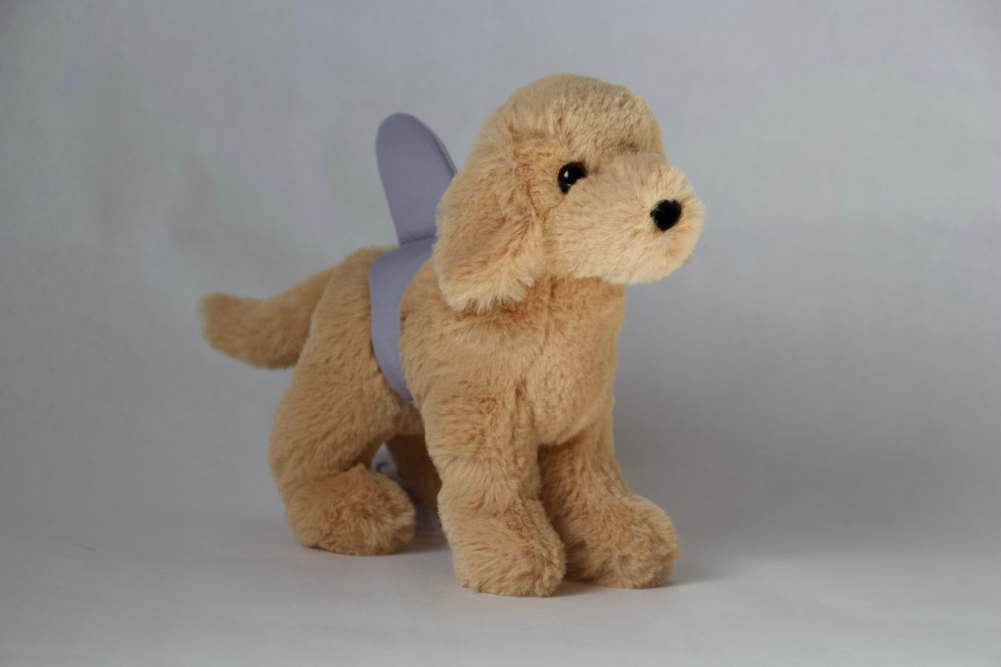 Sharky Golden Retriever