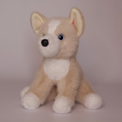 Pookie Pomsky Soft