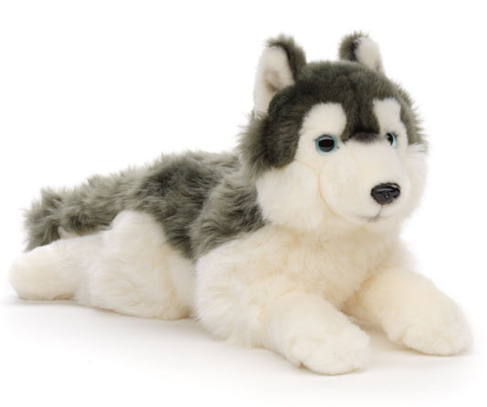 Uni-Toys Husky Lying 38cm
