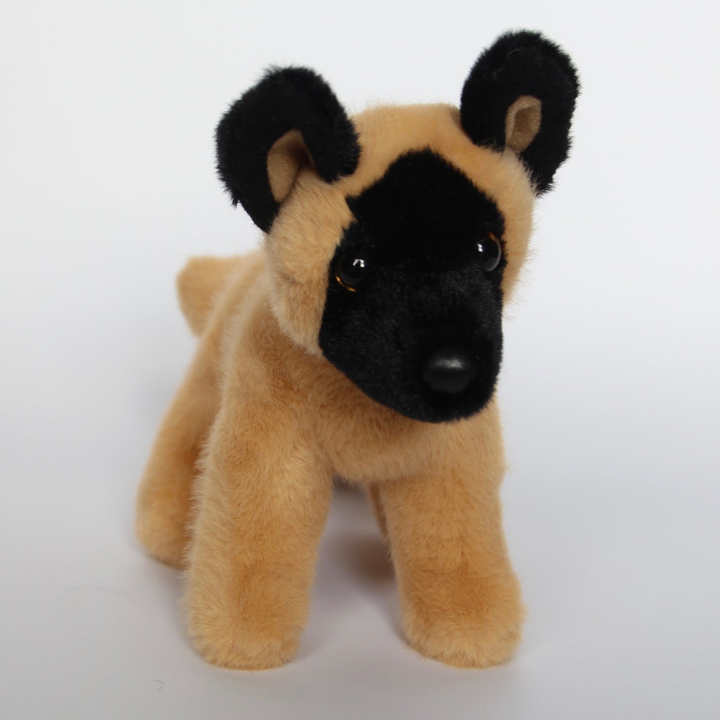 Brent Belgian Malinois