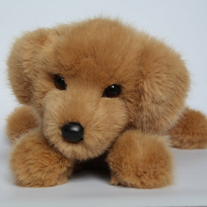 Oakley DLux Golden Retriever