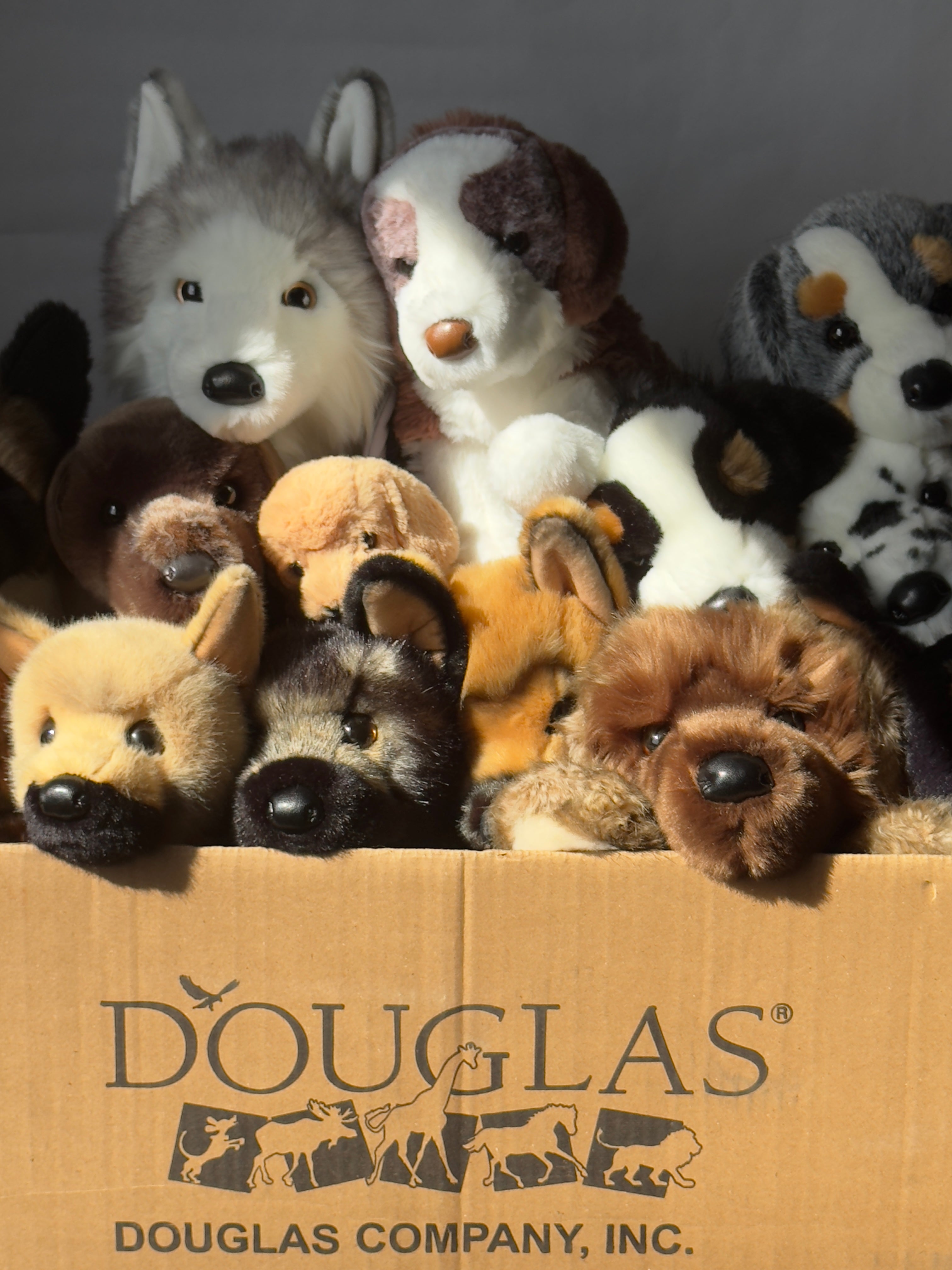 Douglas Dogs – Wonder Wolf Plush