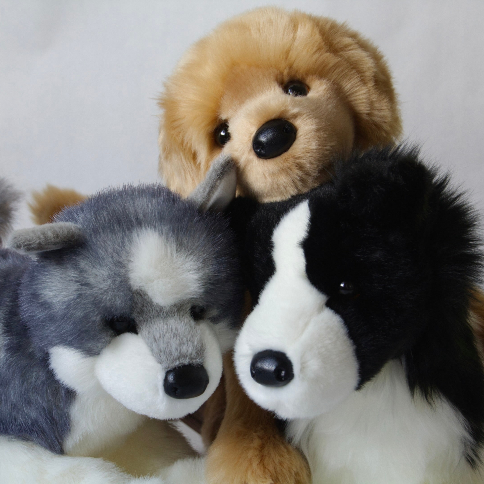 Douglas Stuffed Animal Douglas Chase Border Collie Peluche De