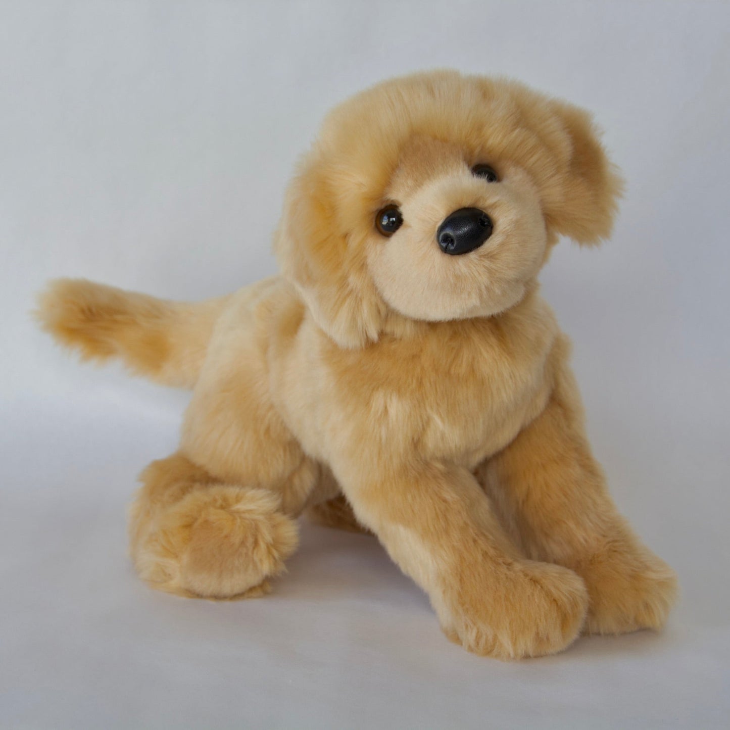 Bella Golden Retriever