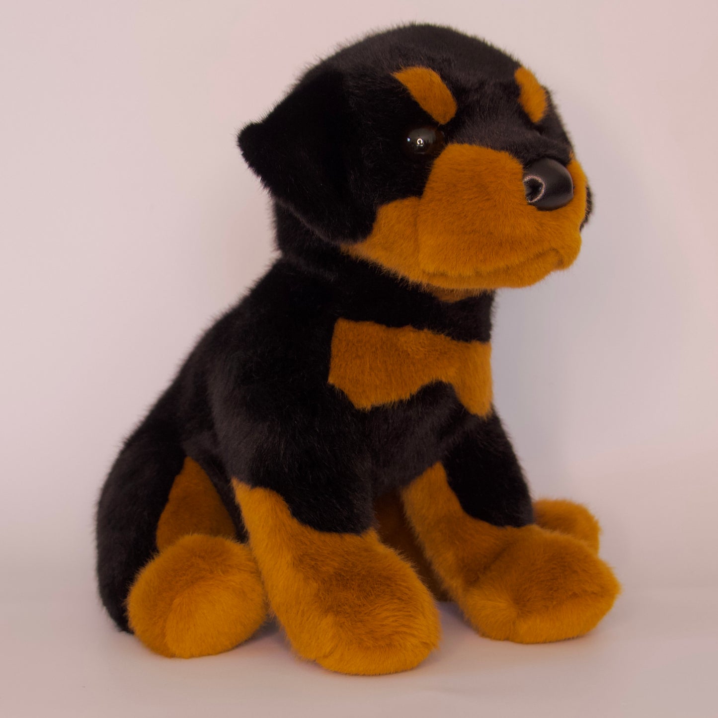 Ed Rottweiler
