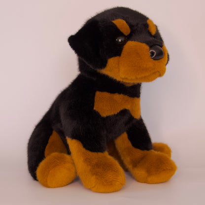 Ed Rottweiler