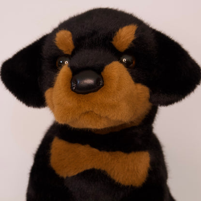 Ed Rottweiler