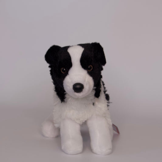 Meadow Border Collie