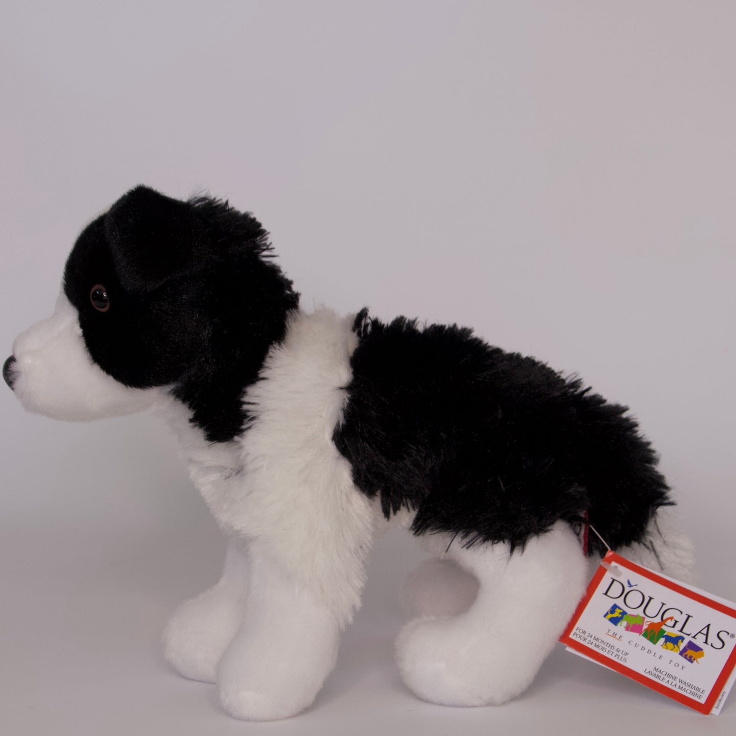 Meadow Border Collie