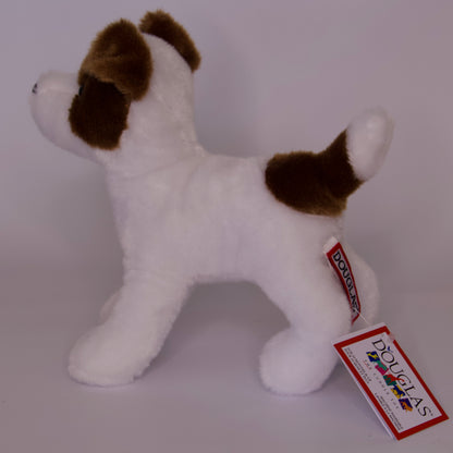 Feisty Jack Russel Terrier