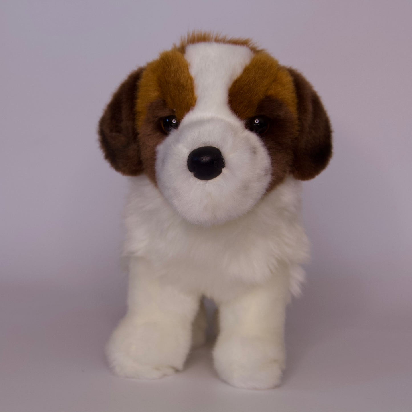 Brutus Saint Bernard