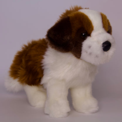 Brutus Saint Bernard