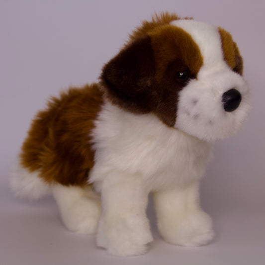 Brutus Saint Bernard