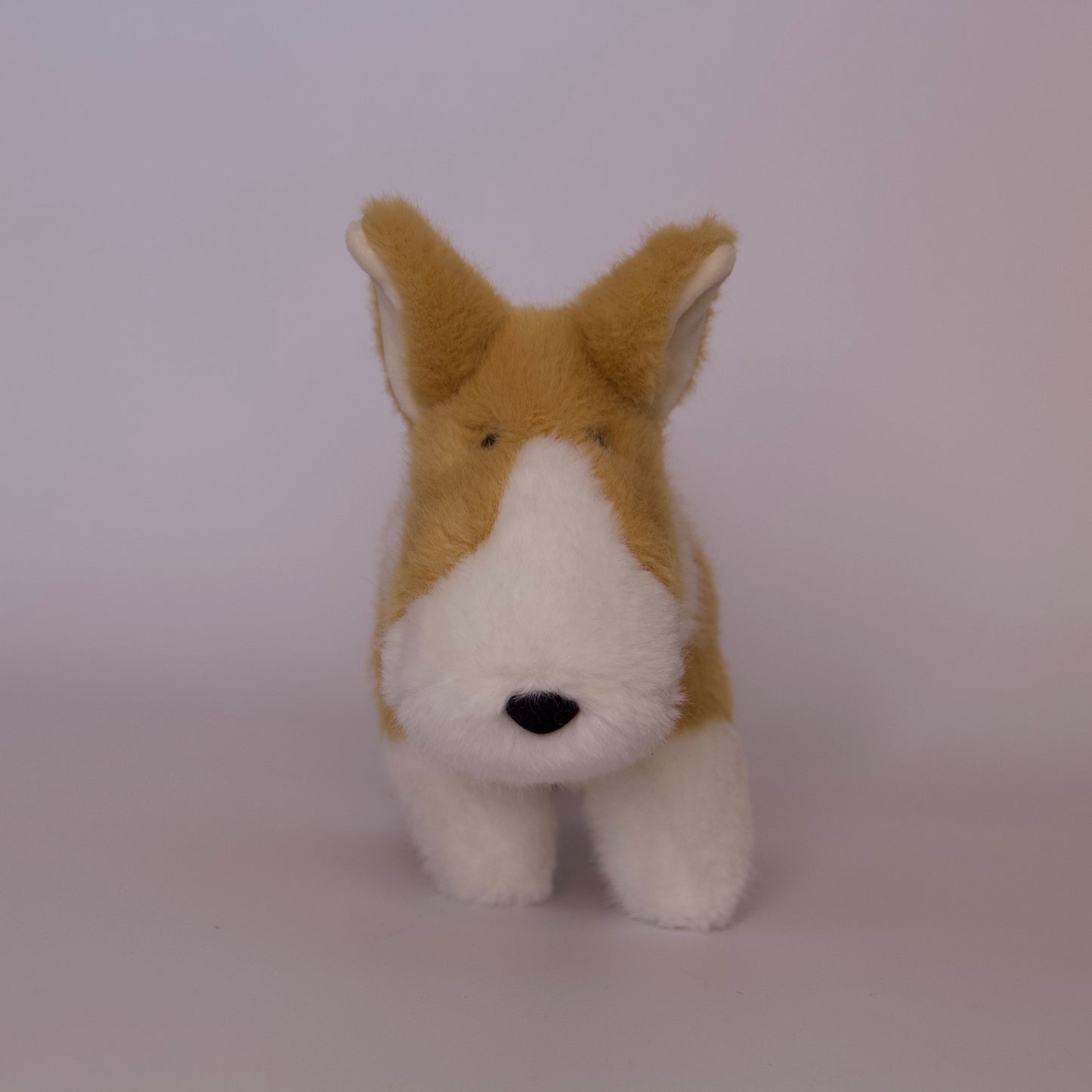 Carl Corgi Muzzle