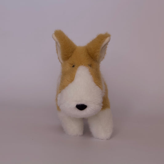 Carl Corgi Muzzle