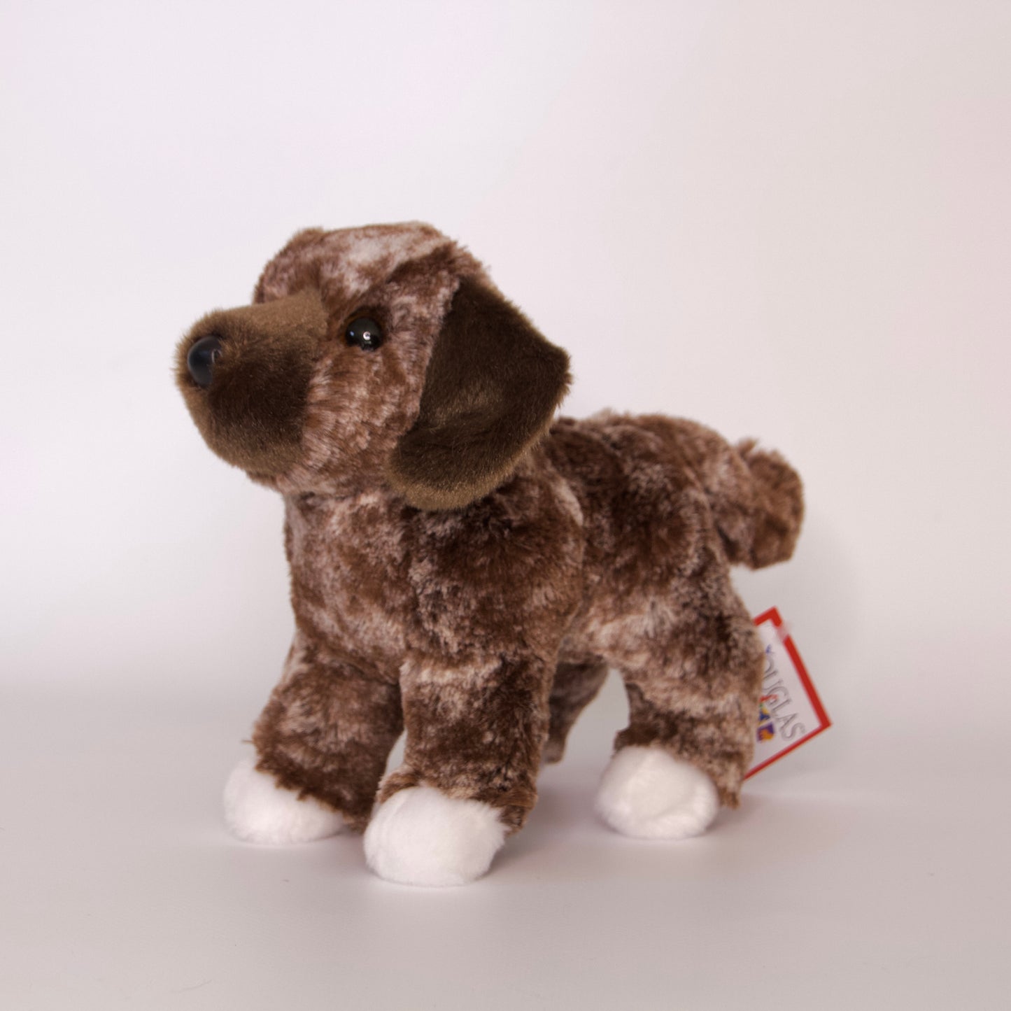 Spud Mutt