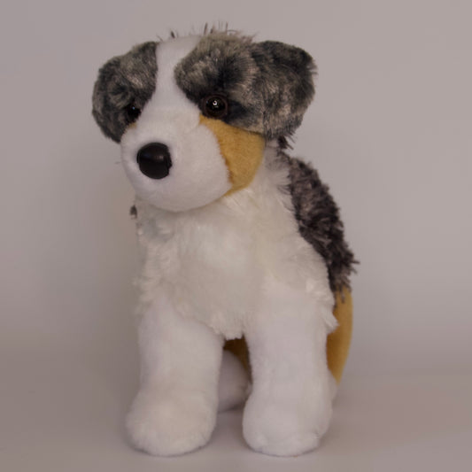 Steward Australian Shepherd