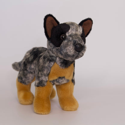 Clanger Australian Cattle Dog