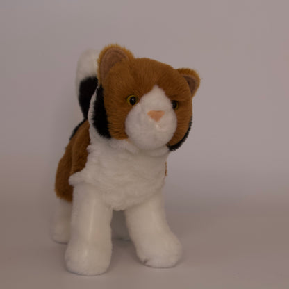 Maps Calico Cat