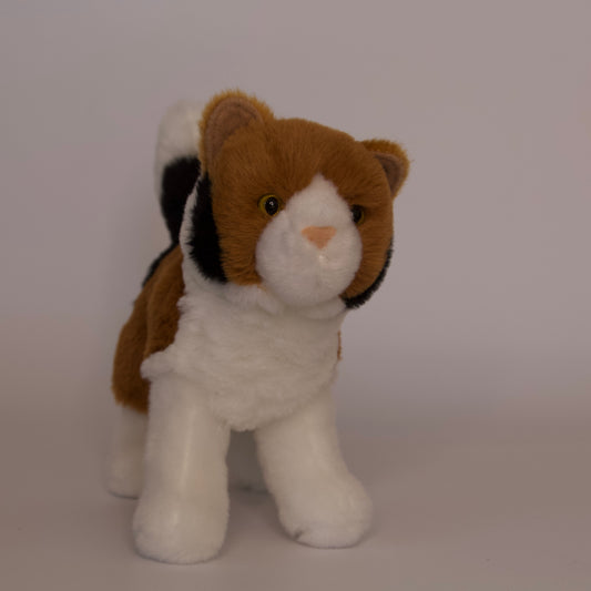 Maps Calico Cat