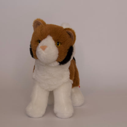 Maps Calico Cat