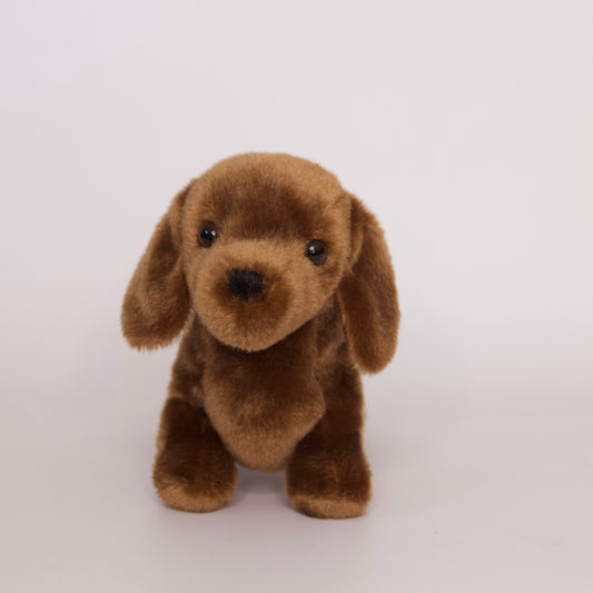 Dilly Dachshund