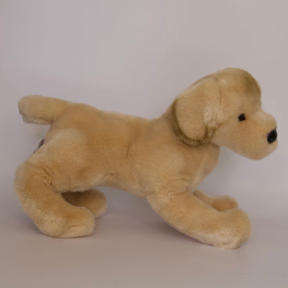 Mandy Yellow Labrador