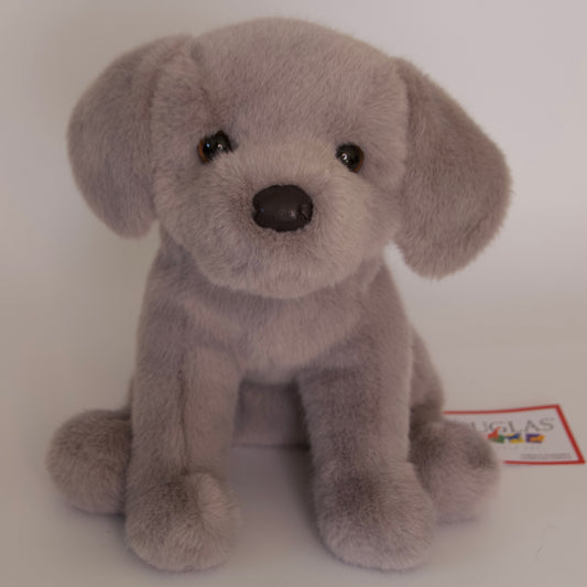 Argento Silver Labrador