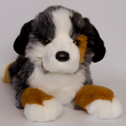 Maizie DLux Australian Shepherd