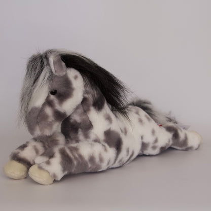 Starsky Appaloosa Horse