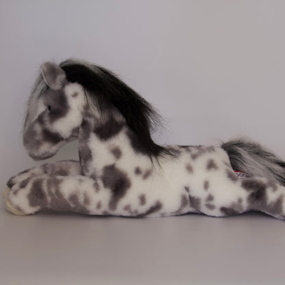 Starsky Appaloosa Horse