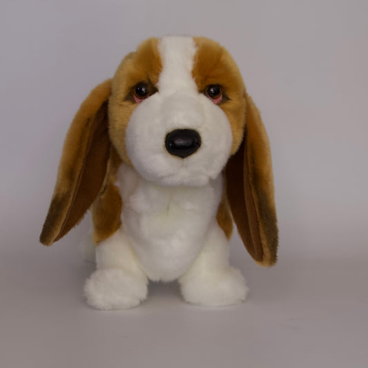 Harold Basset Hound