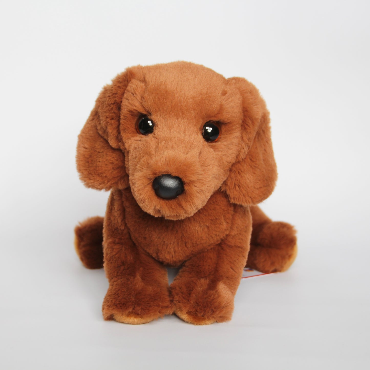 Delanie Soft Dachshund