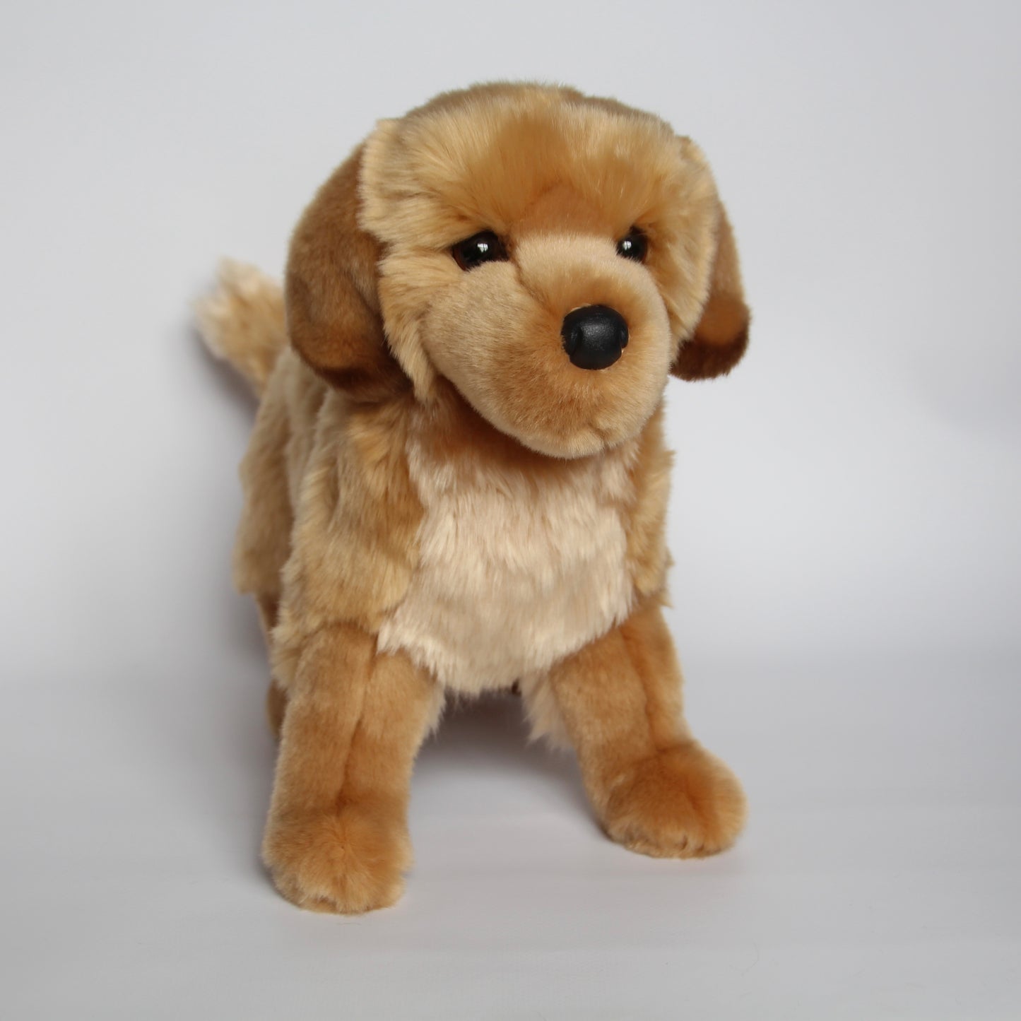 King Golden Retriever
