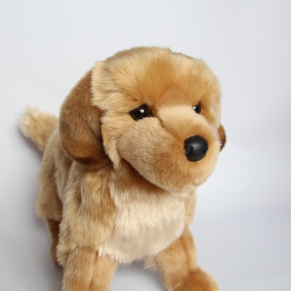 King Golden Retriever