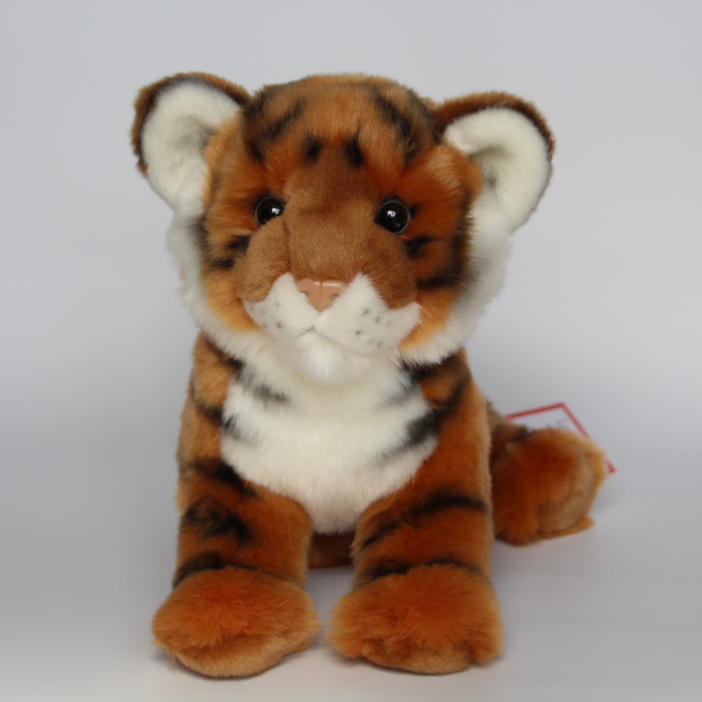 Pancake Bengal Tiger Cub